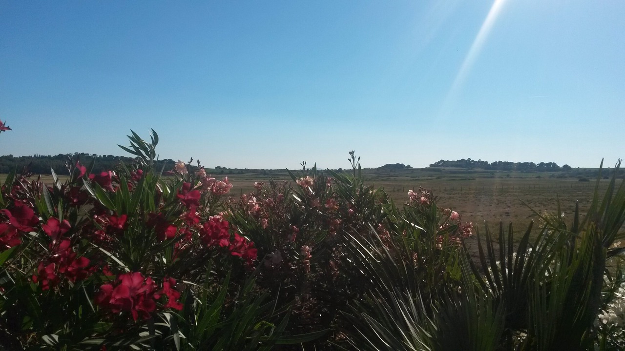 Photo of Outdoor in Ouveillan