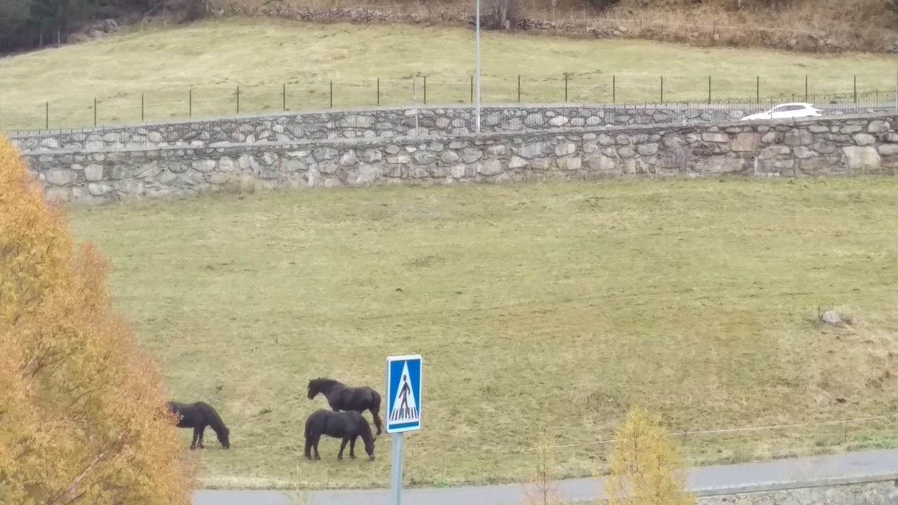 Photo of Others in Soldeu