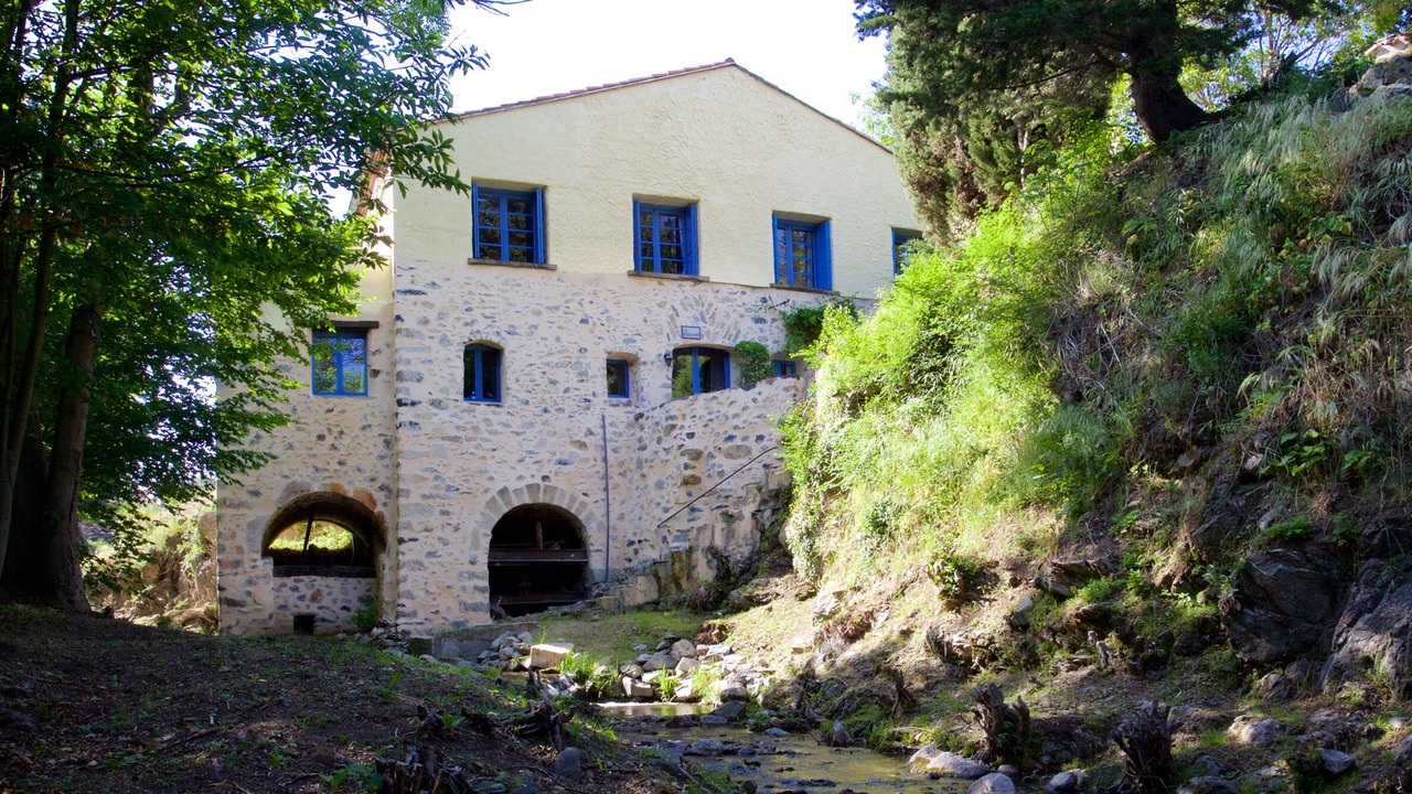 Photo of Others in Fosse