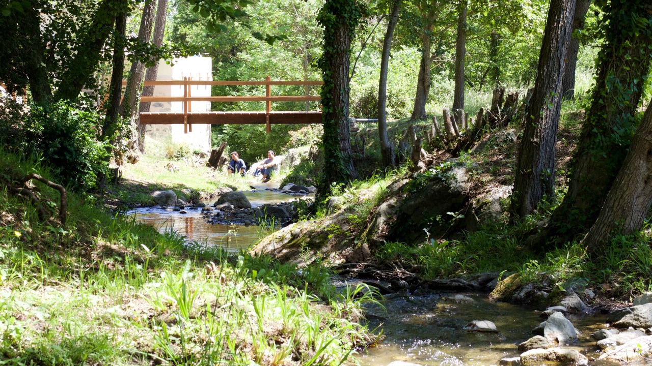 Photo of Others in Fosse