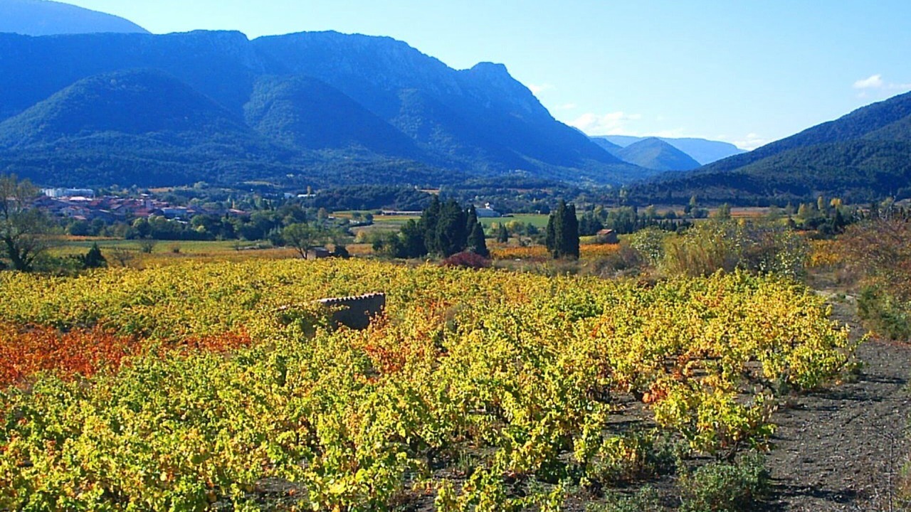 Photo of Others in Fosse