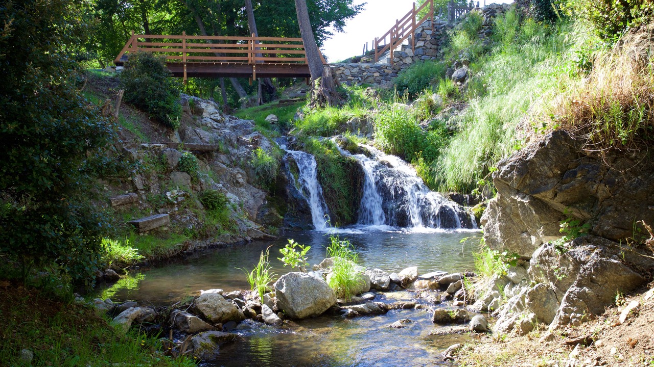 Photo of Others in Fosse