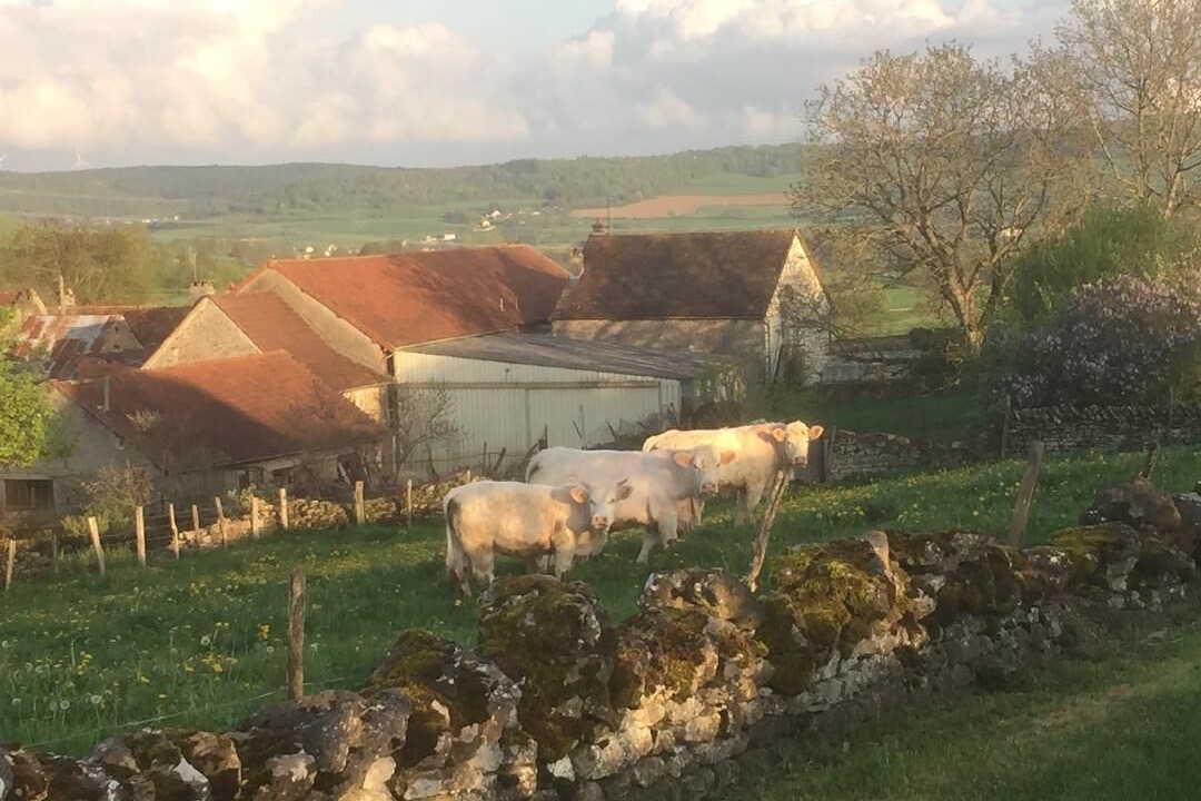 Photo of Others in Auxant