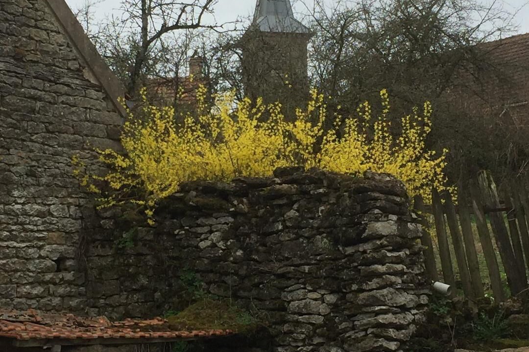 Photo of Others in Auxant