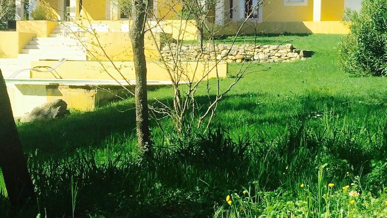 Photo of Outdoor in Sardan