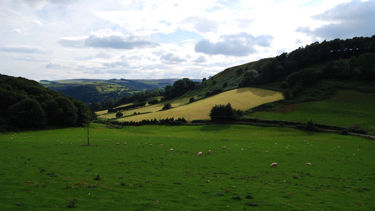 Photo of Others in Acrefair