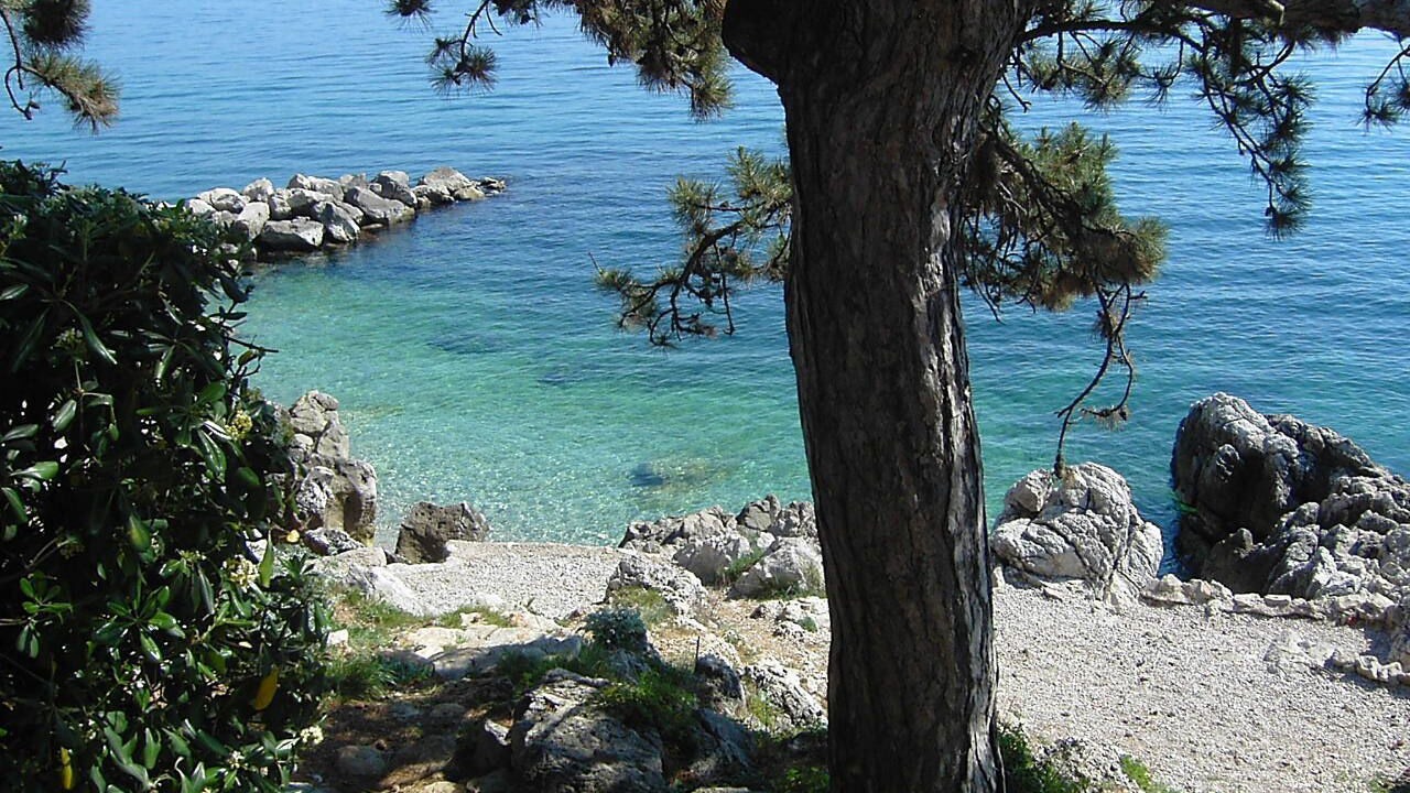 Photo of Others in Moscenicka Draga