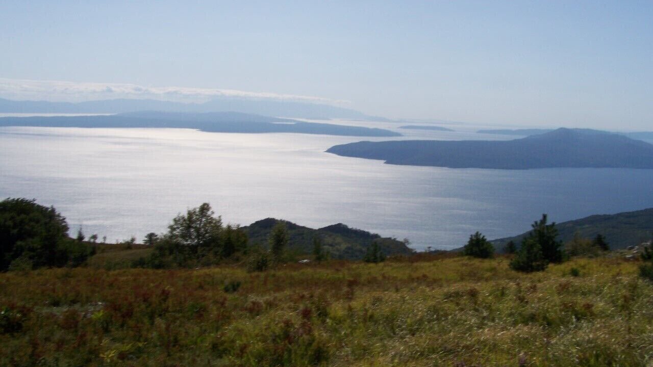 Photo of Others in Moscenicka Draga