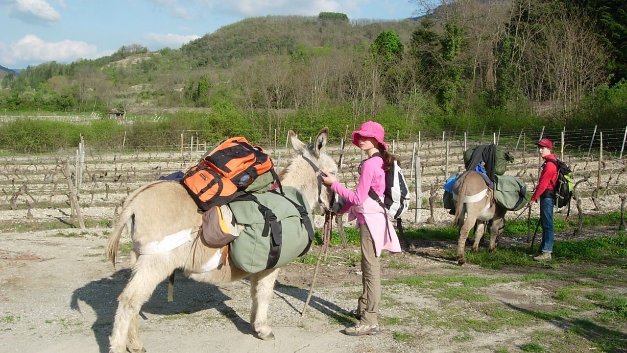 Photo of Others in Saillans