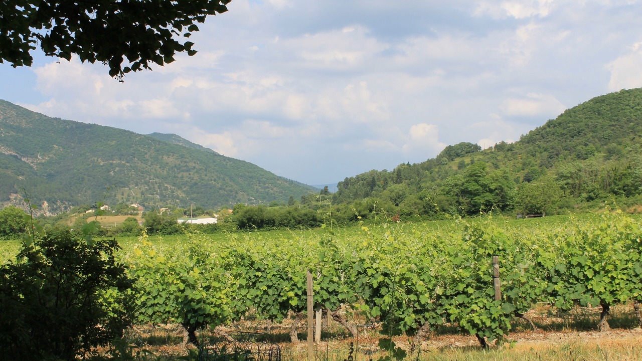 Photo of Outdoor in Saillans