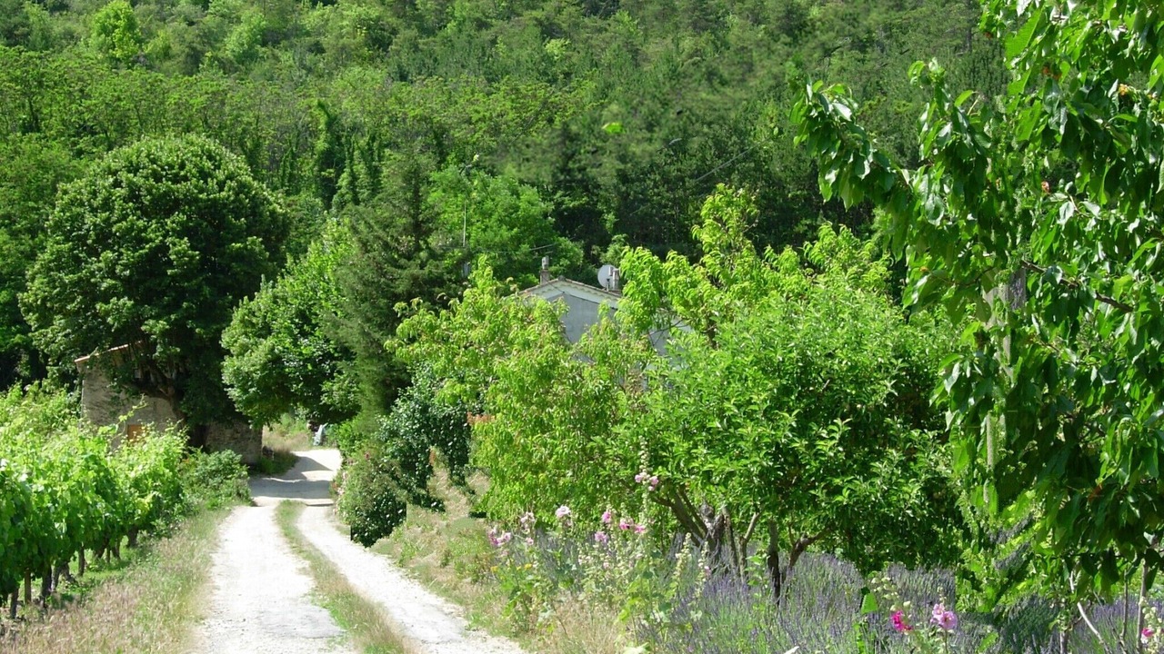 Photo of Outdoor in Saillans