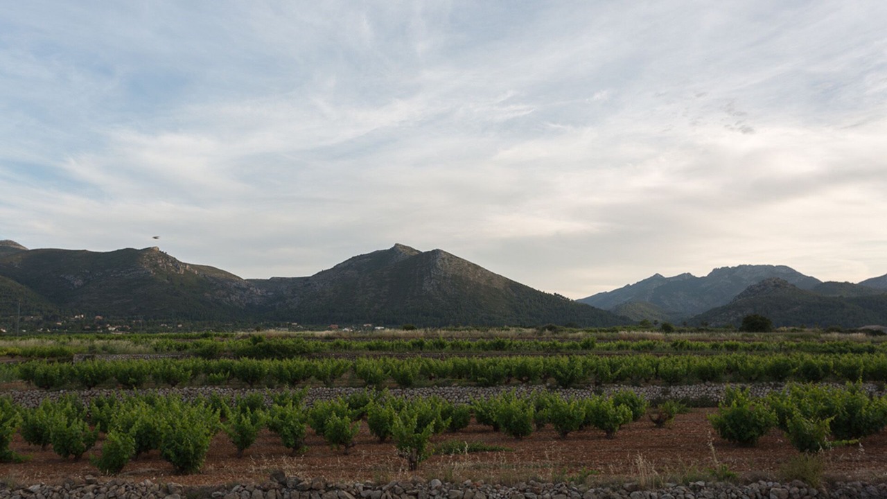 Photo of Outdoor in Lliber