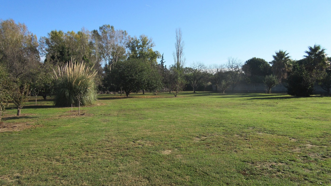 Photo of Outdoor in Saint-Cyprien