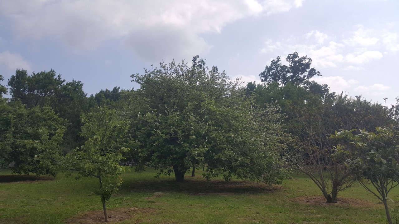 Photo of Outdoor in Saint-Cyprien