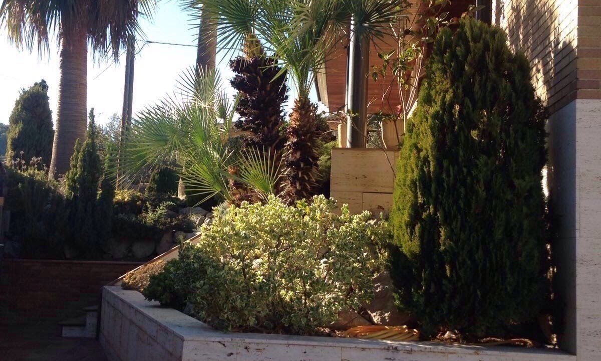 Photo of Outdoor in Canyelles