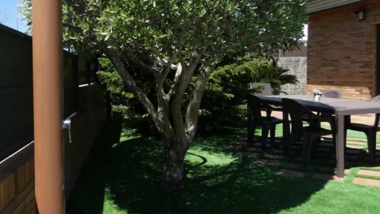 Photo of Outdoor in Canyelles