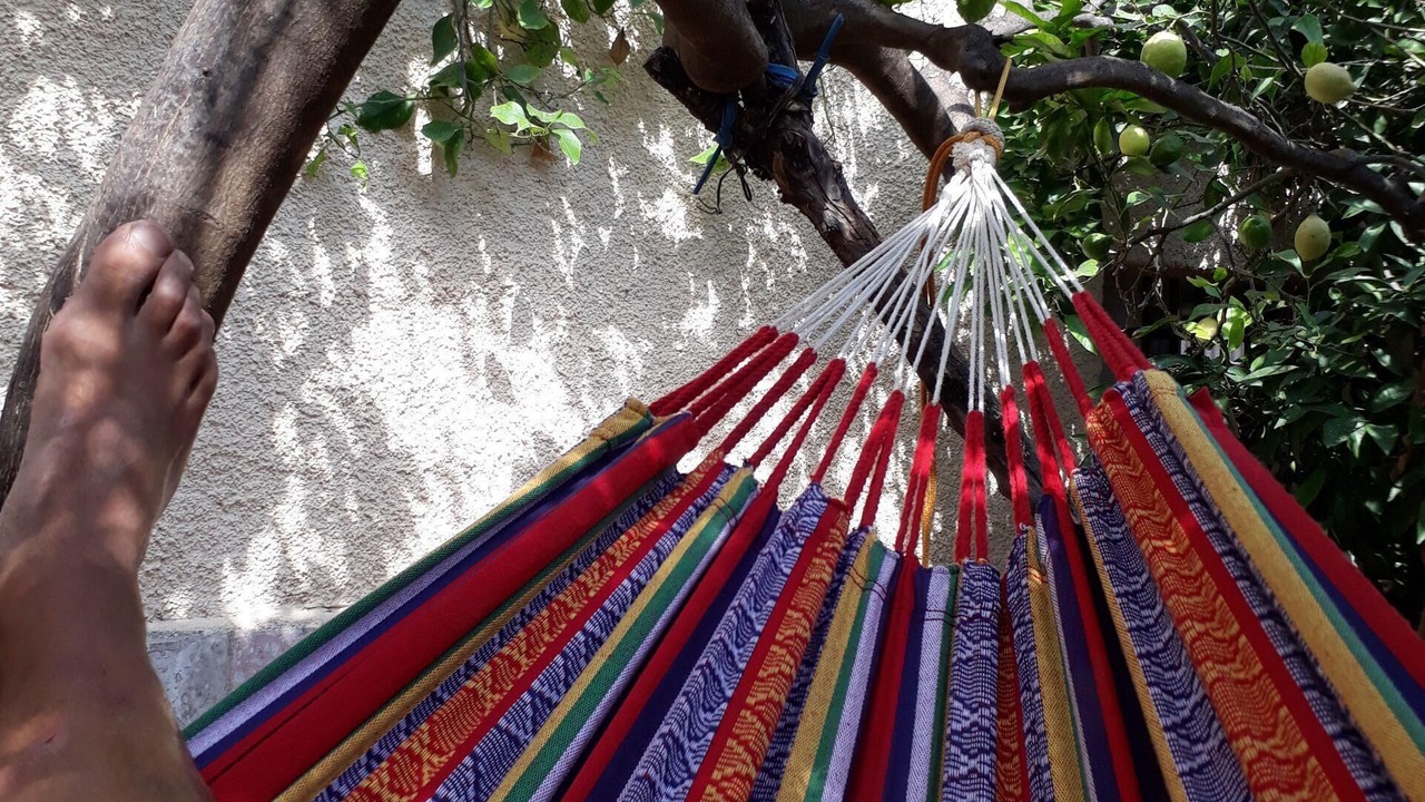 Photo of Outdoor in Argelita