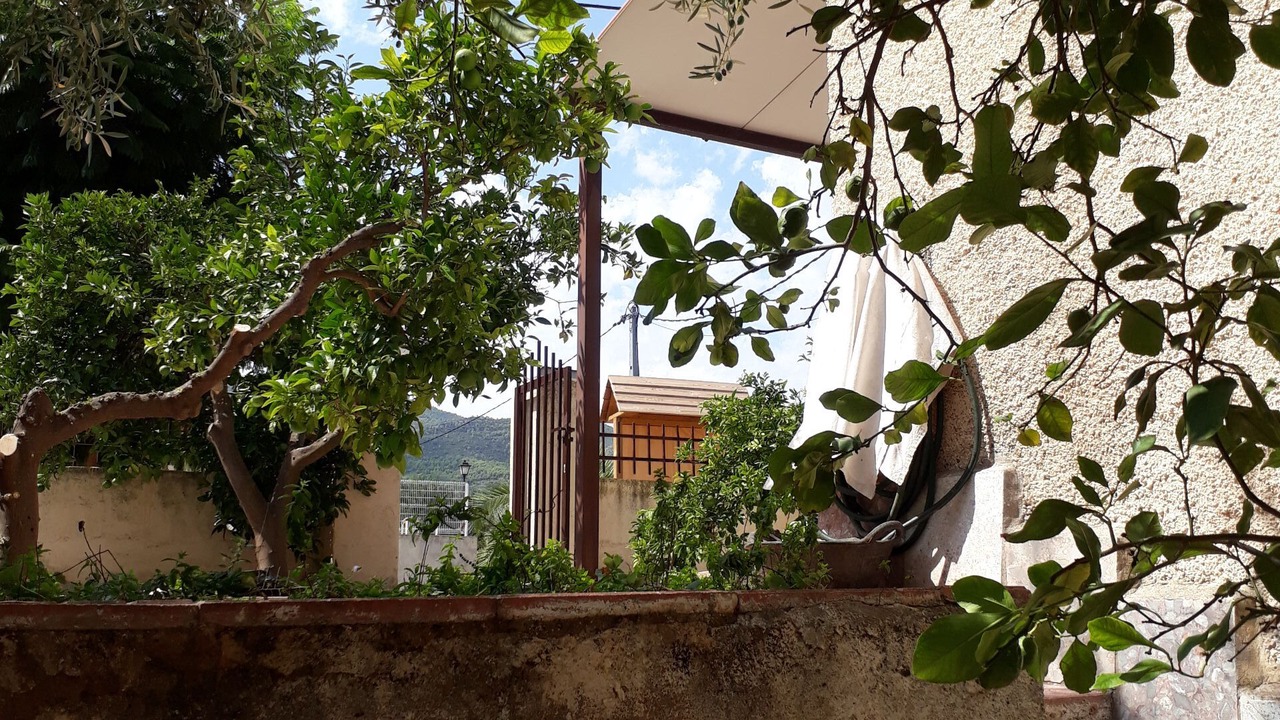 Photo of Outdoor in Argelita