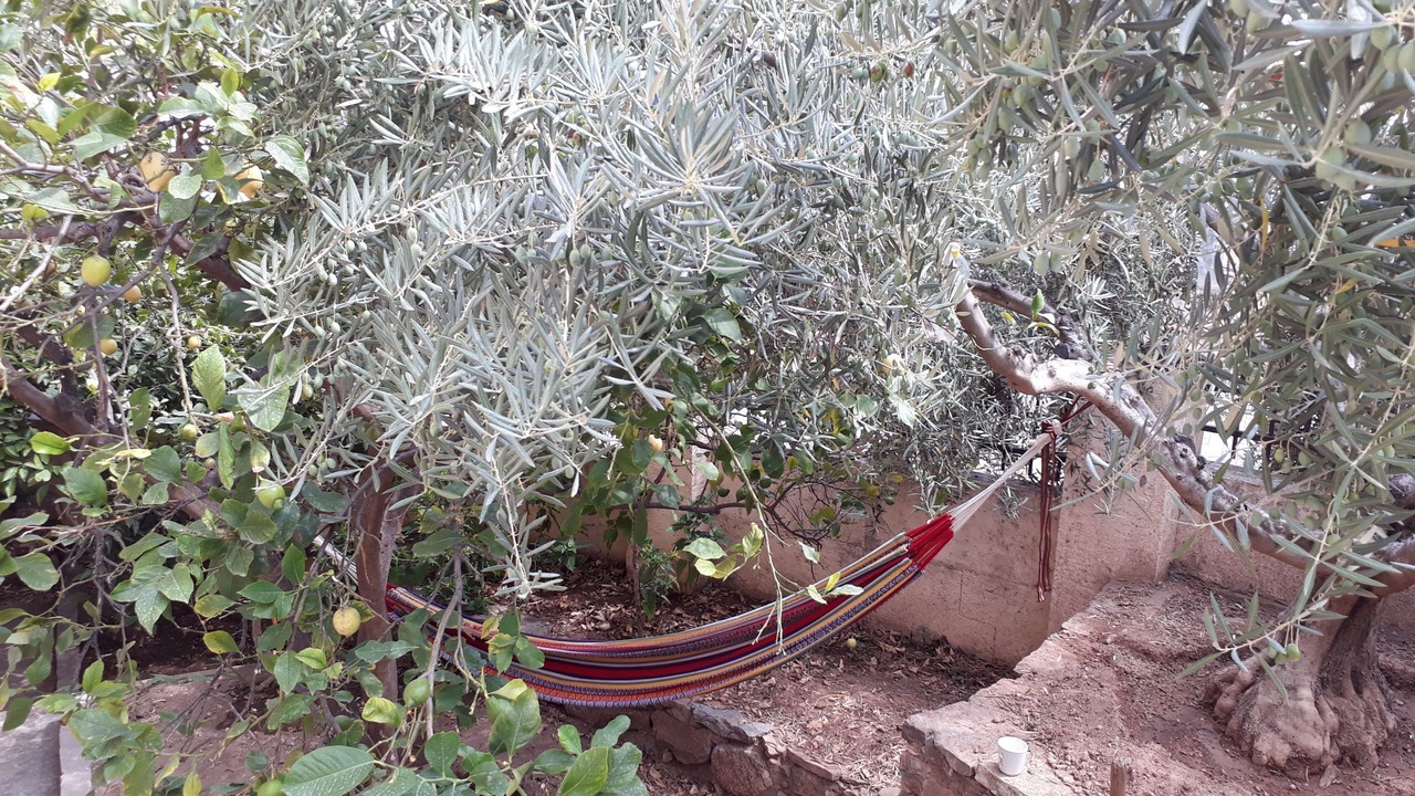 Photo of Outdoor in Argelita