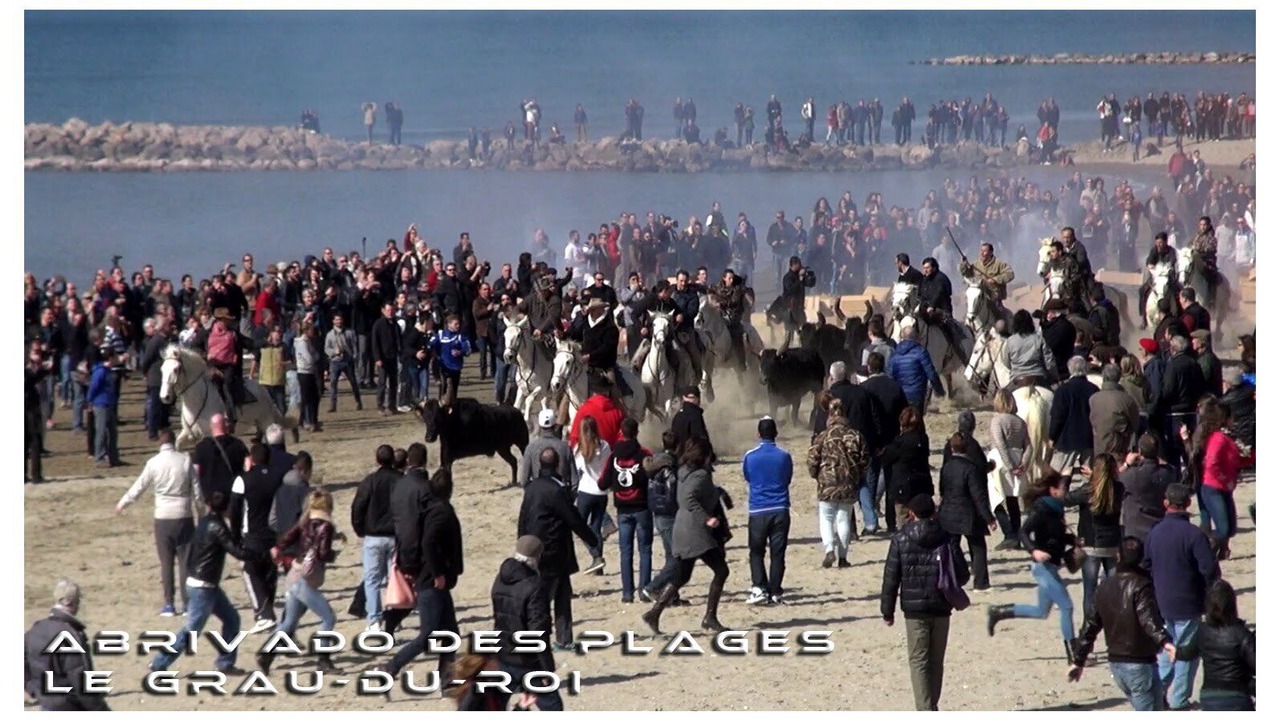 Photo of Others in Le Grau-Du-Roi