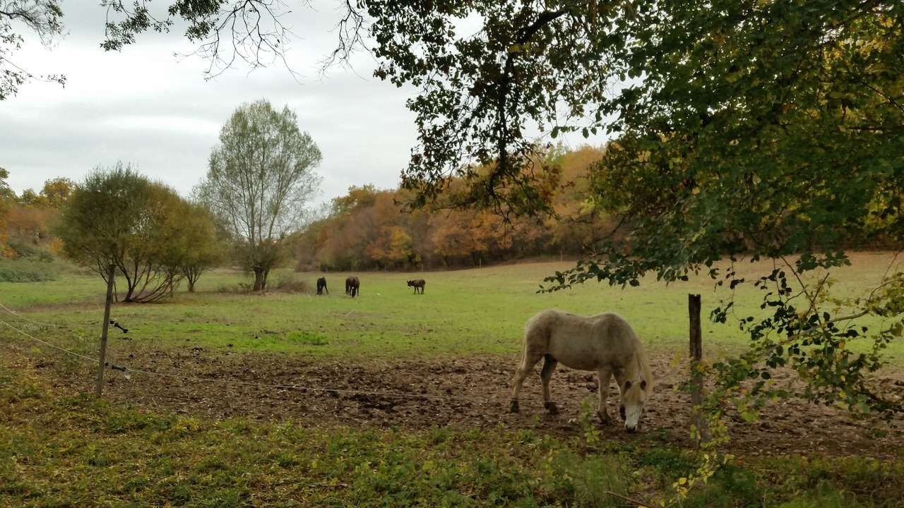 Photo of Outdoor in Magnas