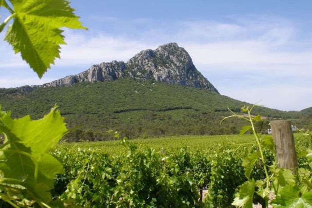 Photo of Outdoor in Saint-Drezery