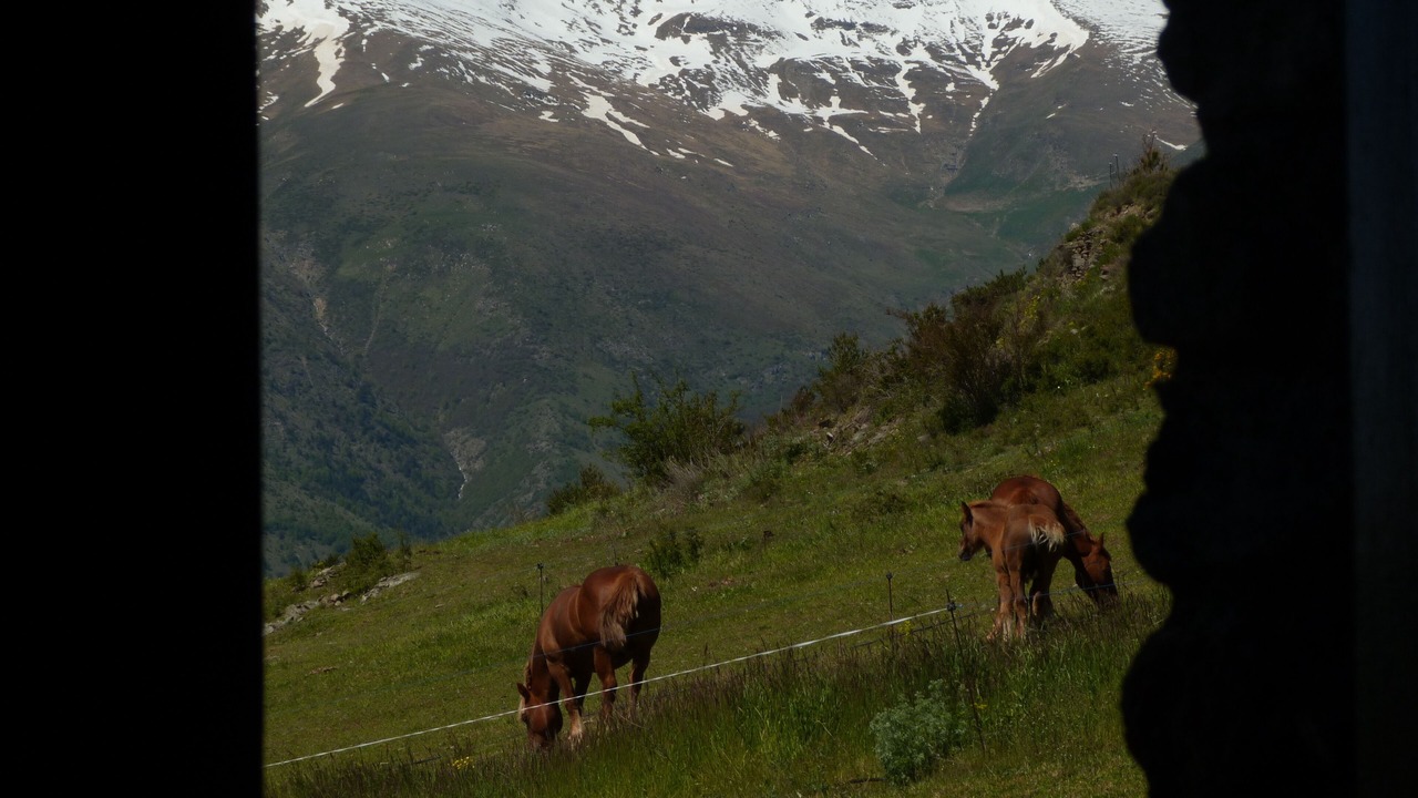 Photo of Outdoor in Surp