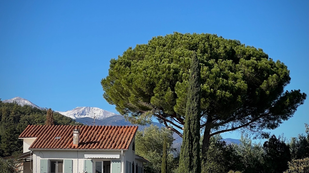 Photo of Outdoor in Ceret