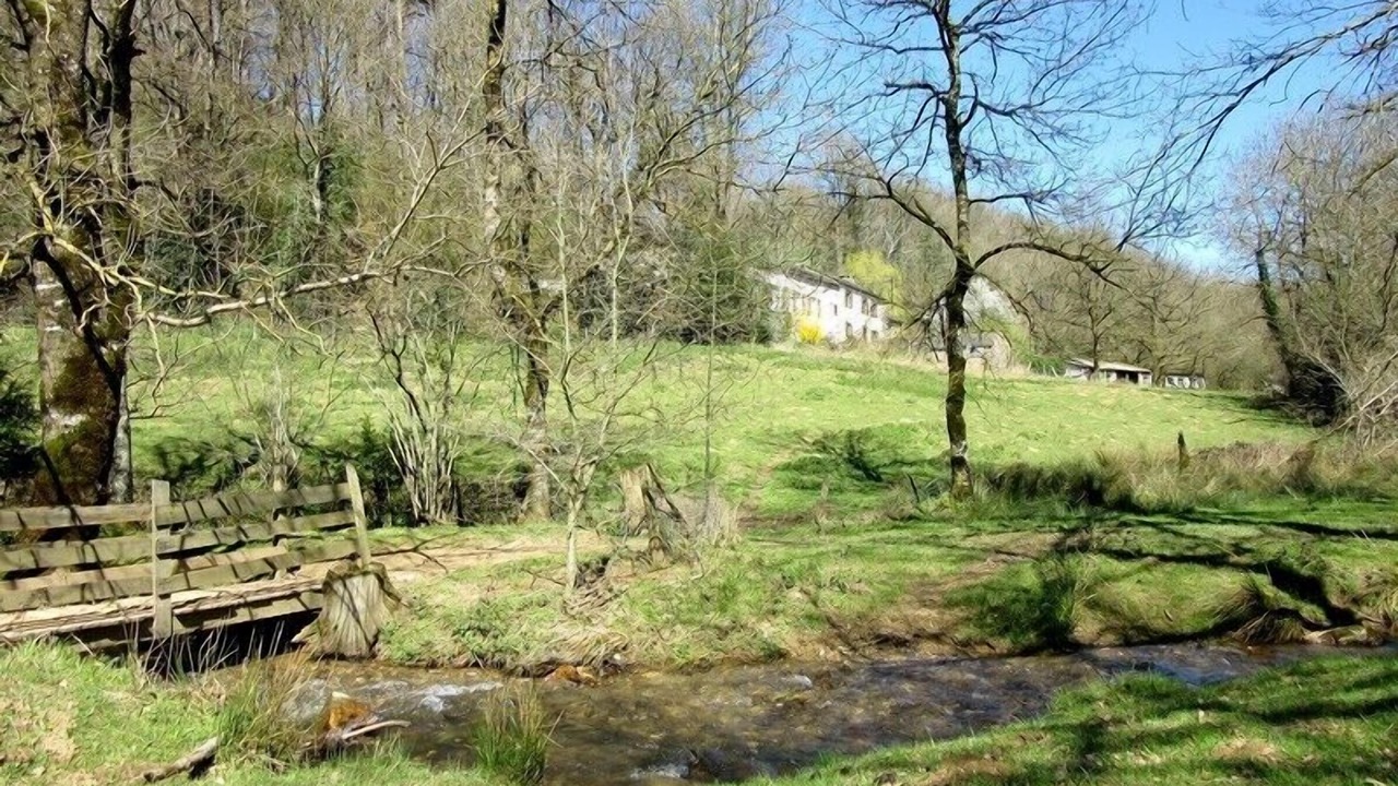 Photo of Outdoor in Montredon-Labessonnie