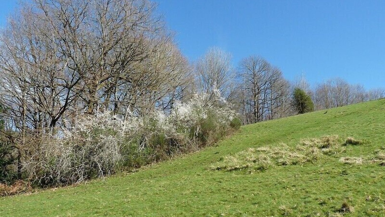 Photo of Outdoor in Montredon-Labessonnie