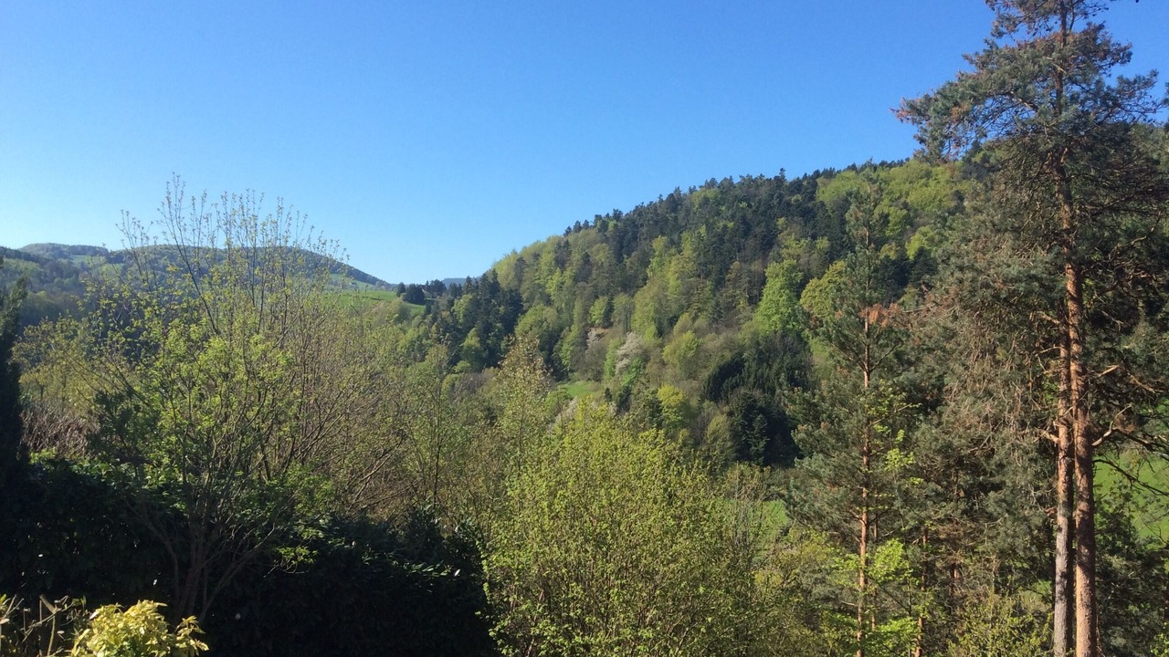 Photo of Outdoor in Lapoutroie