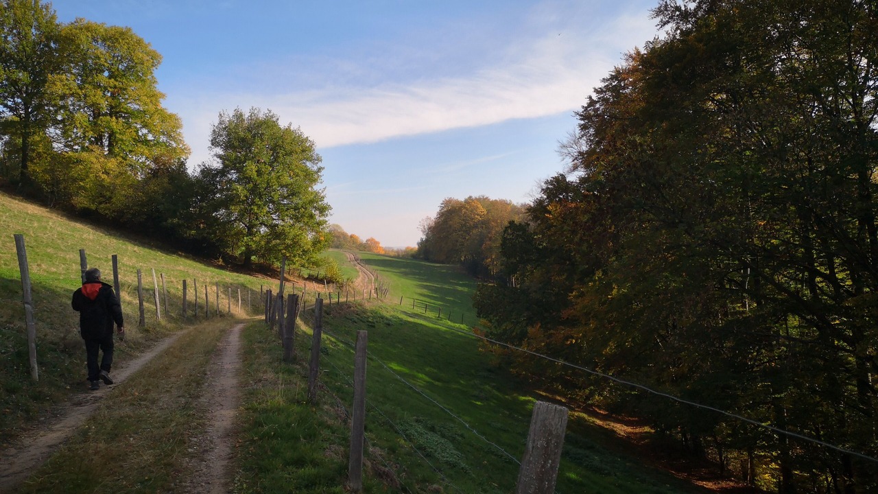 Photo of Outdoor in Lapoutroie