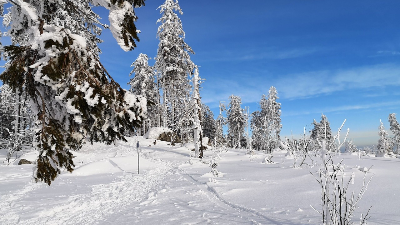 Photo of Others in Lapoutroie