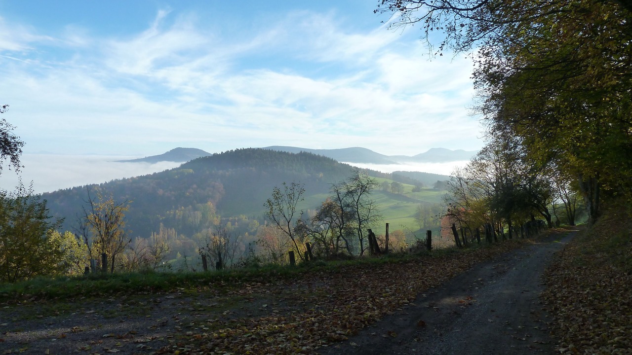 Photo of Others in Lapoutroie