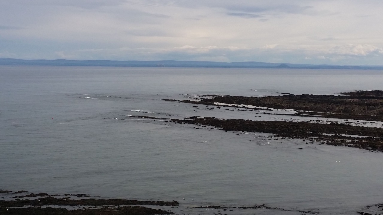 Photo of Others in Crail