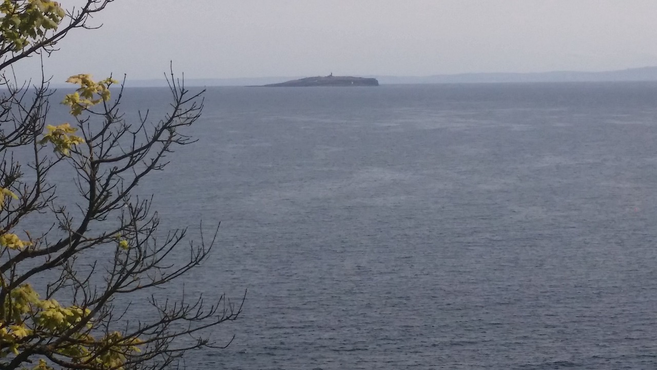 Photo of Others in Crail