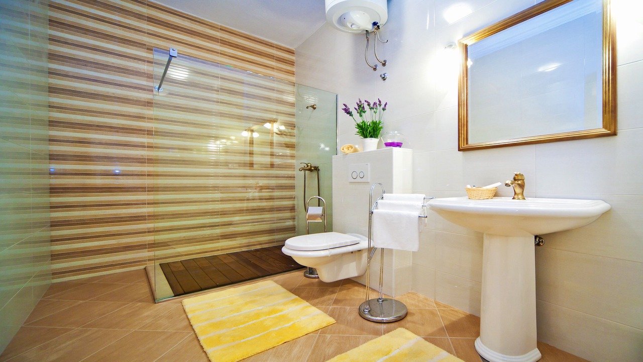 Photo of Bathroom in Zupa dubrovacka