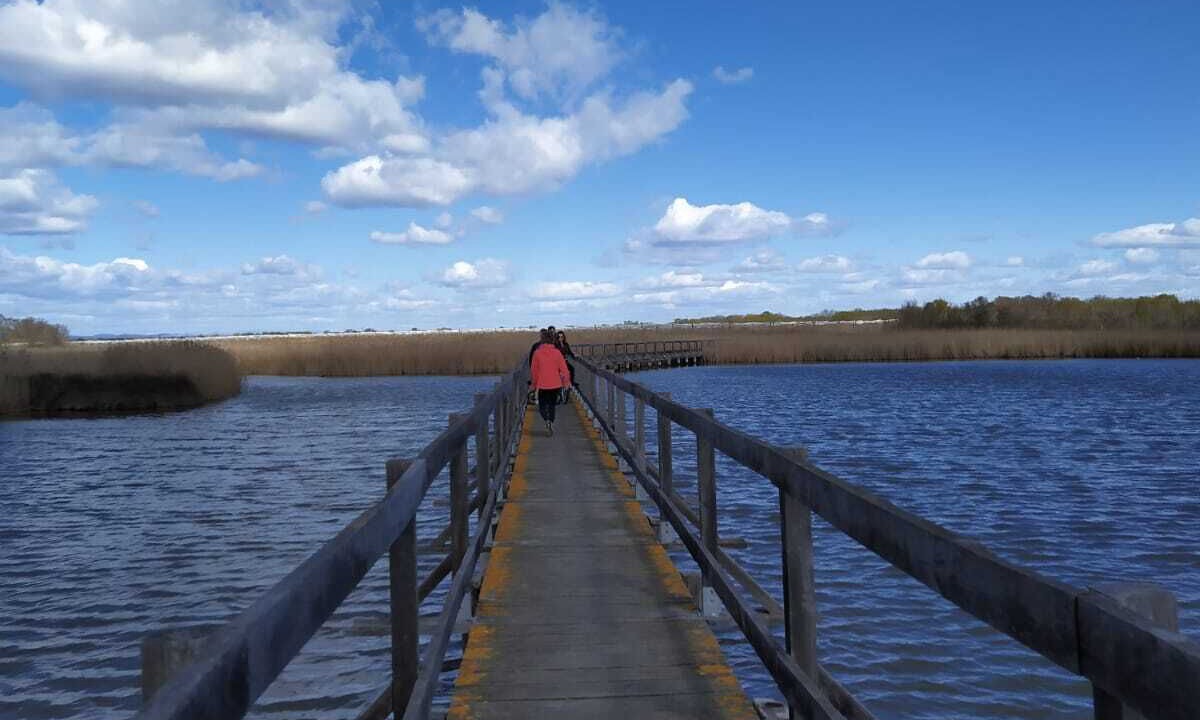 Photo of Others in Teyran