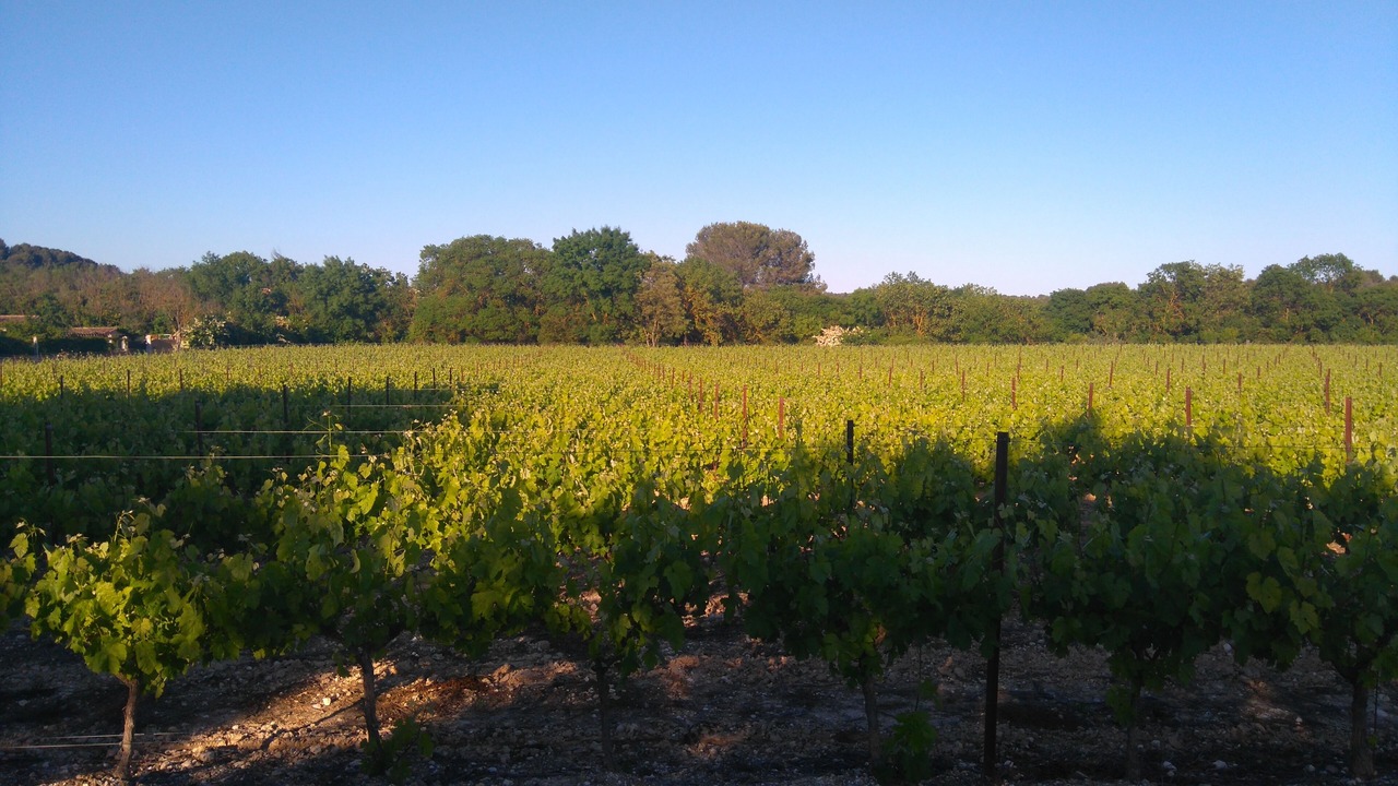 Photo of Outdoor in Teyran