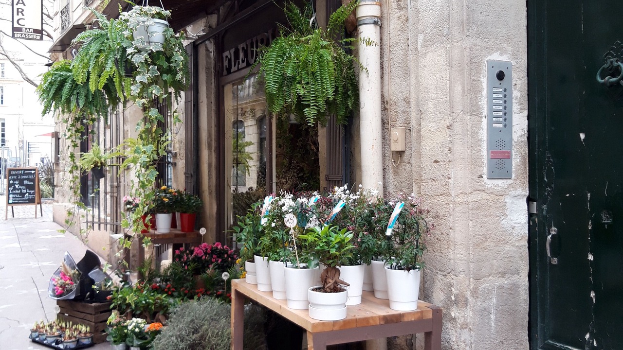 Photo of Outdoor in Teyran