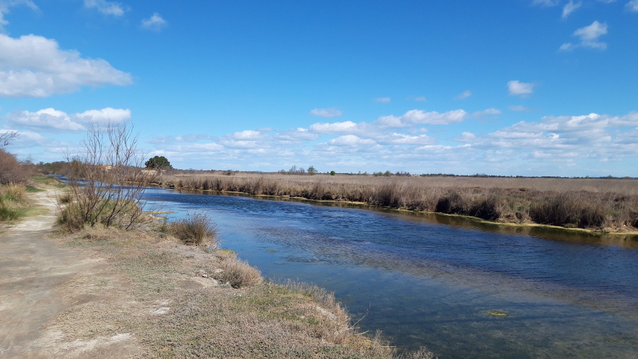 Photo of Others in Teyran