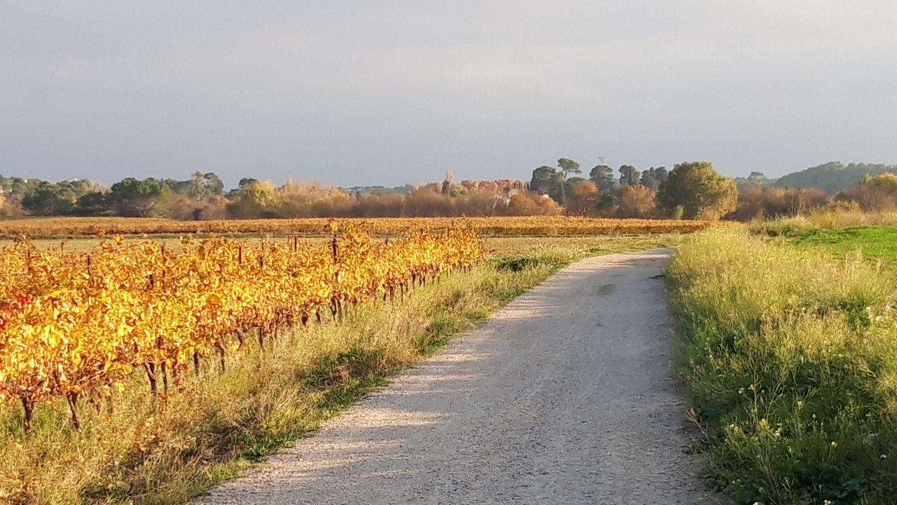 Photo of Others in Teyran