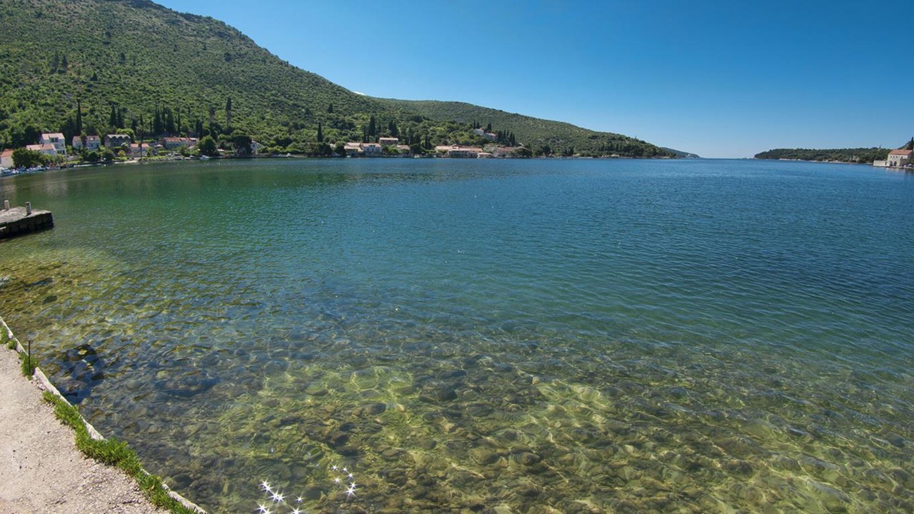 Photo of Others in Zaton