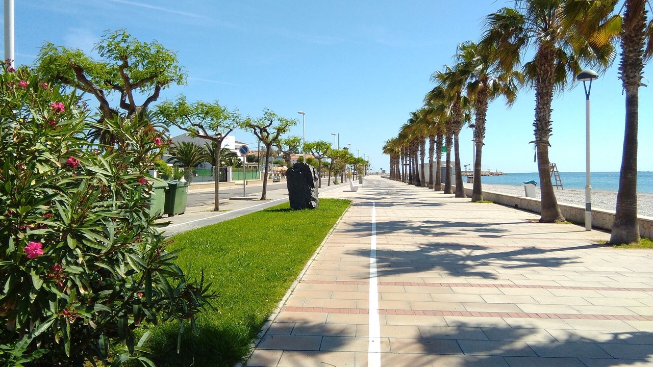 Photo of Outdoor in Les Cases d'Alcanar
