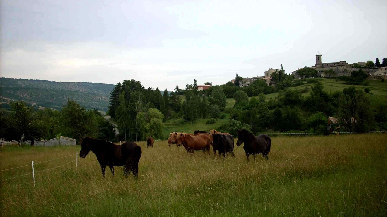 Photo of Outdoor in Revest-des-Brousses