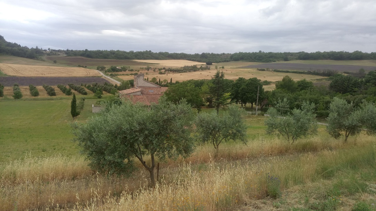Photo of Outdoor in Revest-des-Brousses
