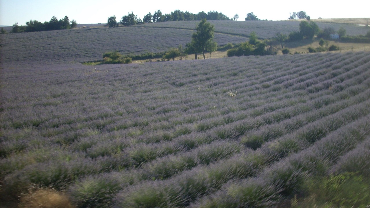 Photo of Outdoor in Revest-des-Brousses