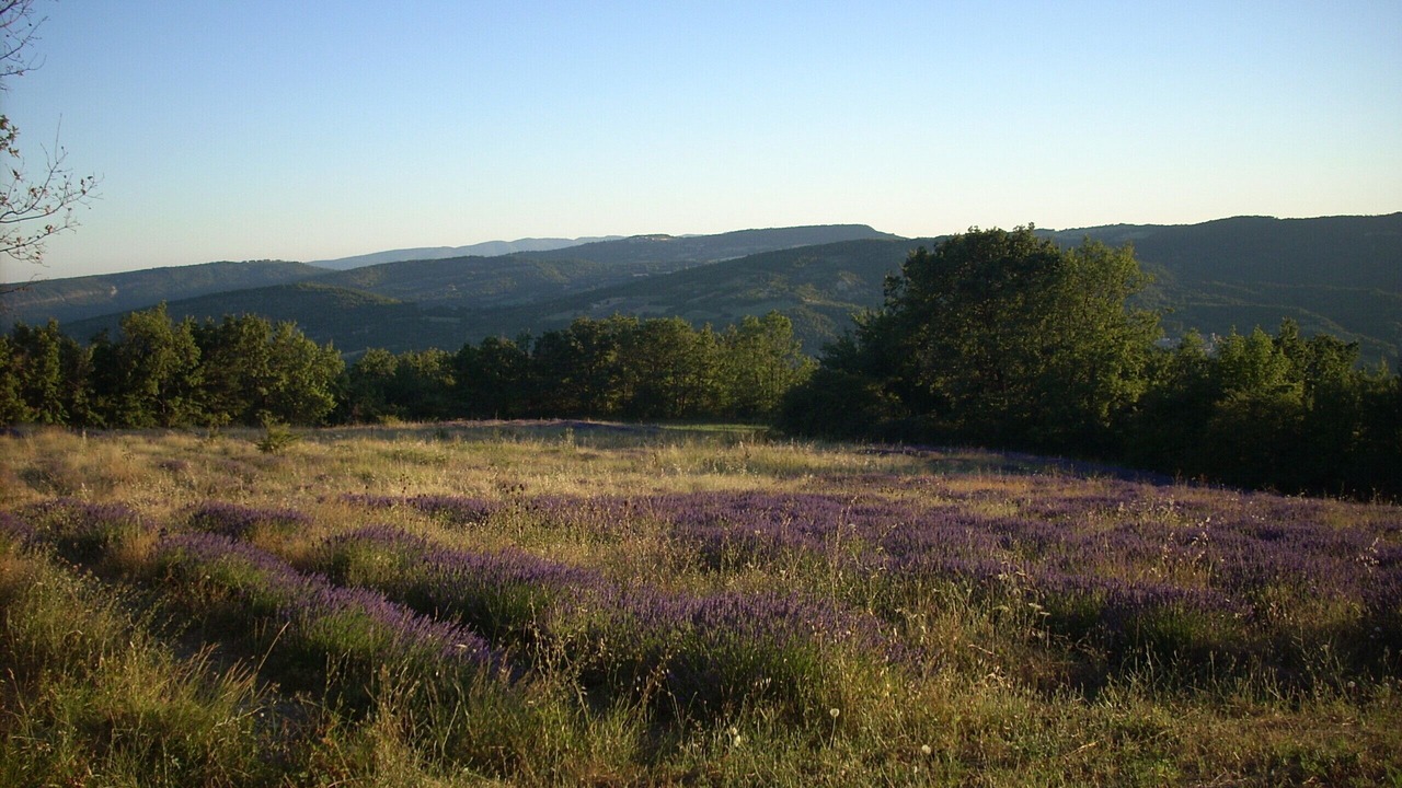 Photo of Outdoor in Revest-des-Brousses
