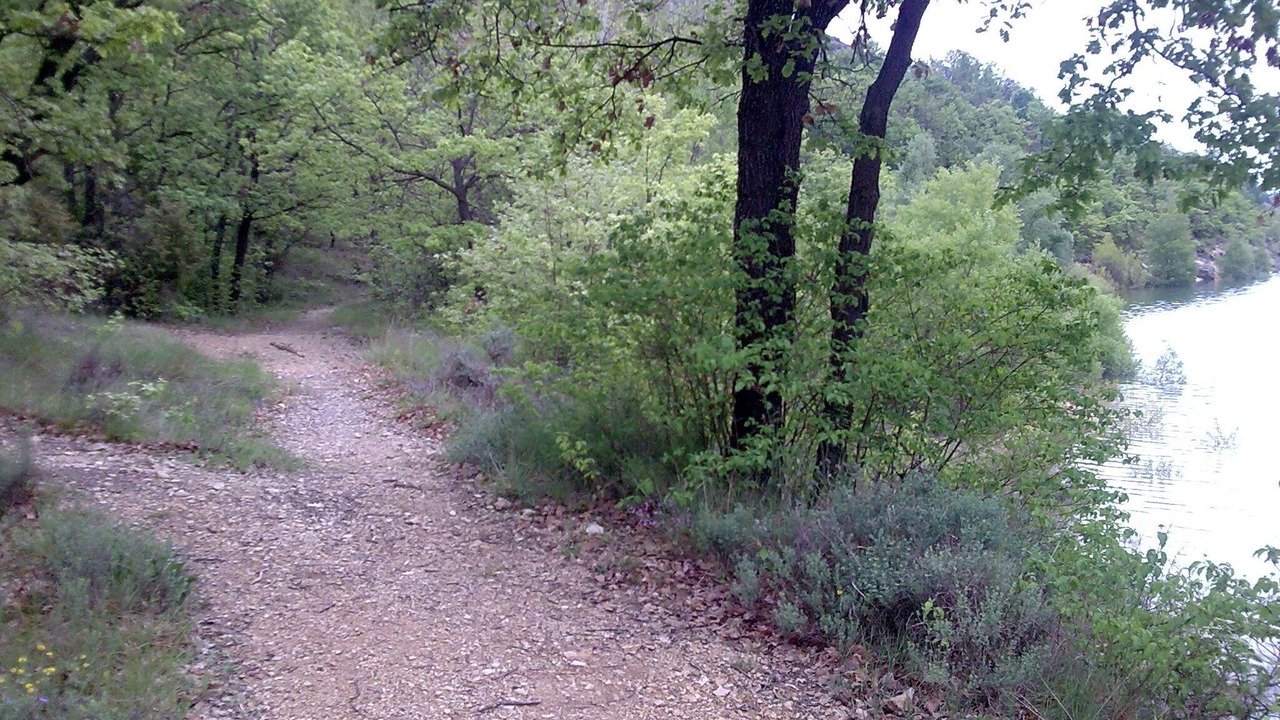 Photo of Outdoor in Revest-des-Brousses