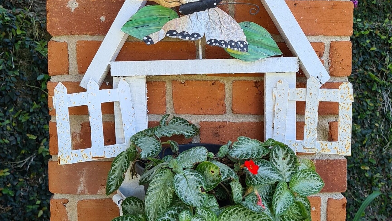 Photo of Outdoor in Jarabacoa